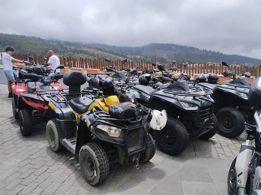 A row of quad bikes parked at the viewpoint railing, pine-covered hills behind